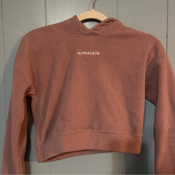 Alphalete Crop Hoodie - Picture 2 of 4